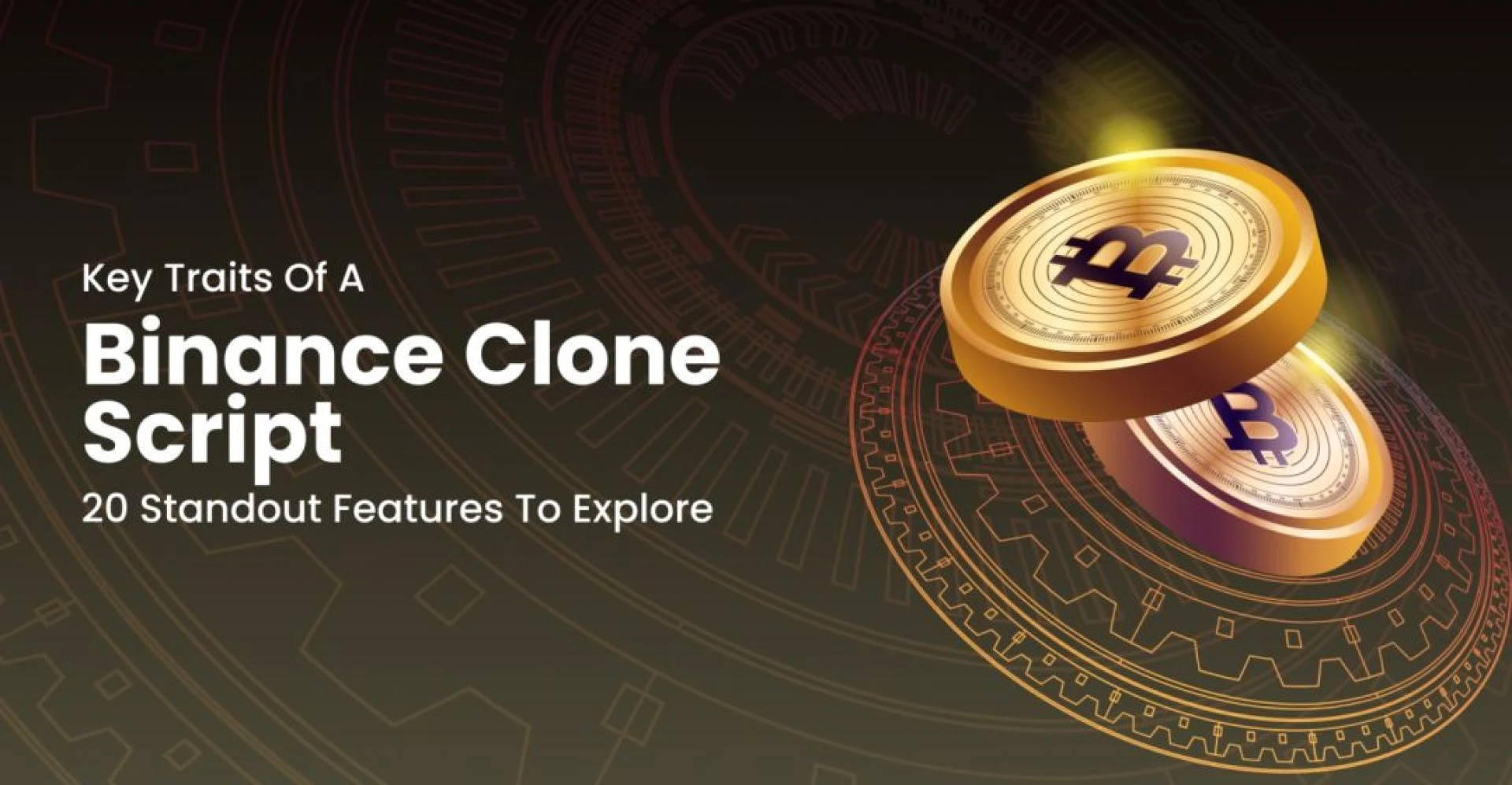 Key Functions of Binance-Like Crypto Exchange App: 20 Distinctive Traits