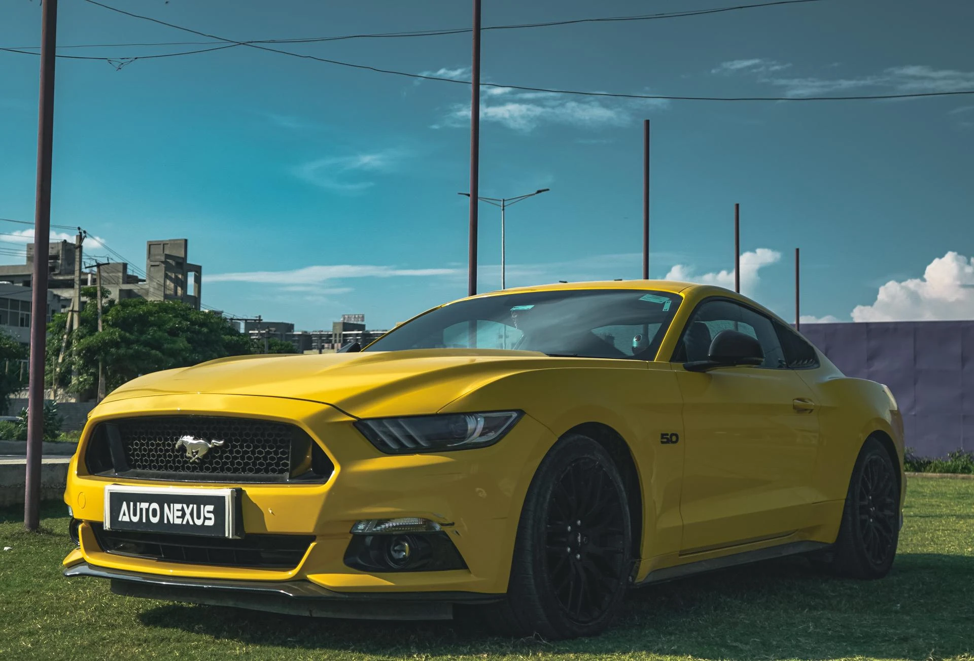 Top Car Detailing Services: What to Expect and Why You Should Book Regularly?