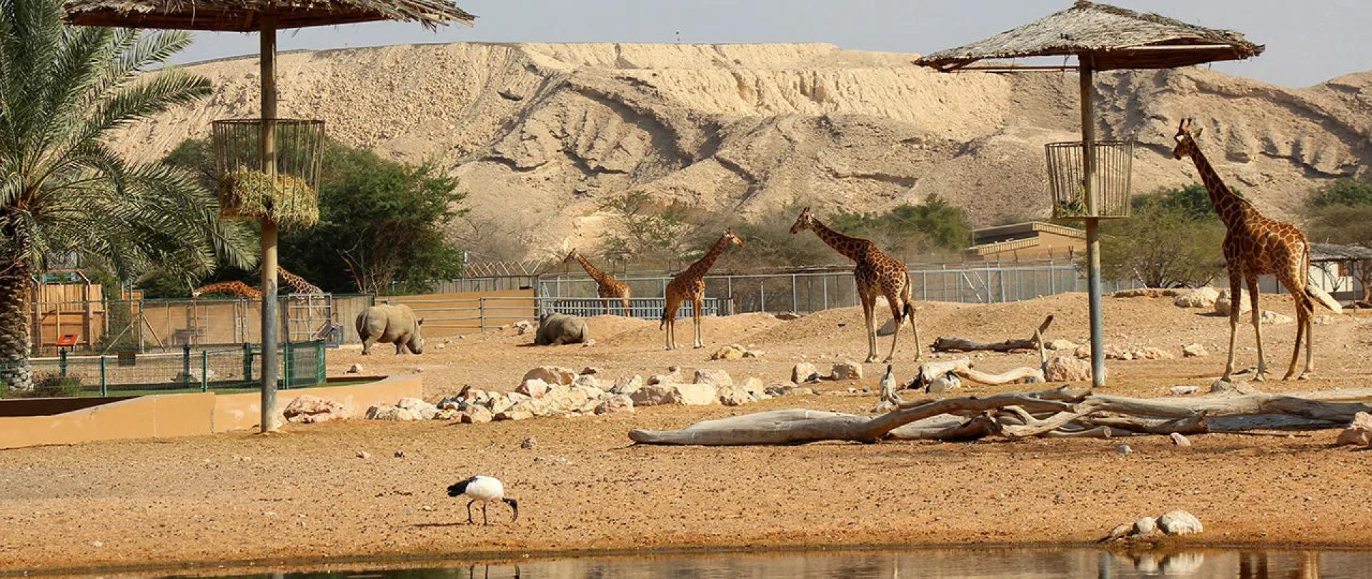 Al Ain Zoo Dubai Tickets  – Best Prices & Family Deals for 2025!