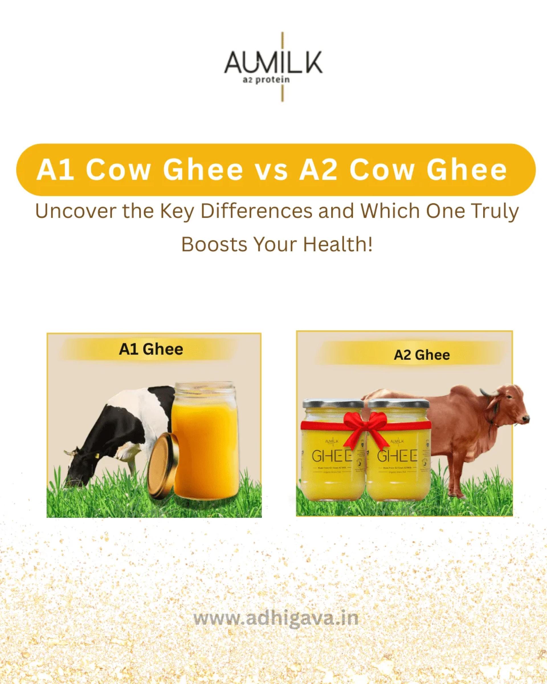 A1 vs A2 Cow Ghee: What’s the Difference and Which One Is Healthier for Your Body?