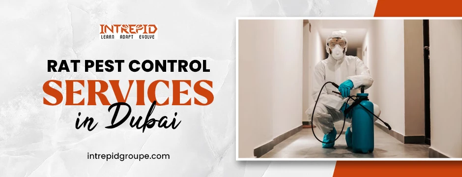 Benefits of Hiring Professional Rat Pest Control Services in Dubai