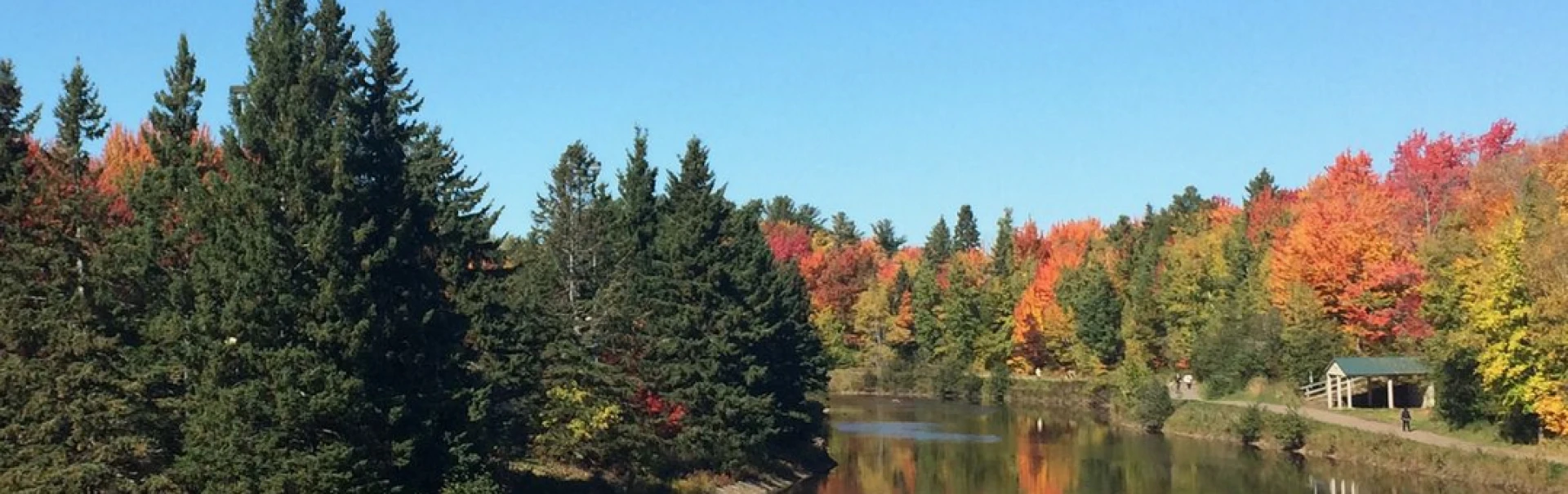 The role of obituaries in preserving family history