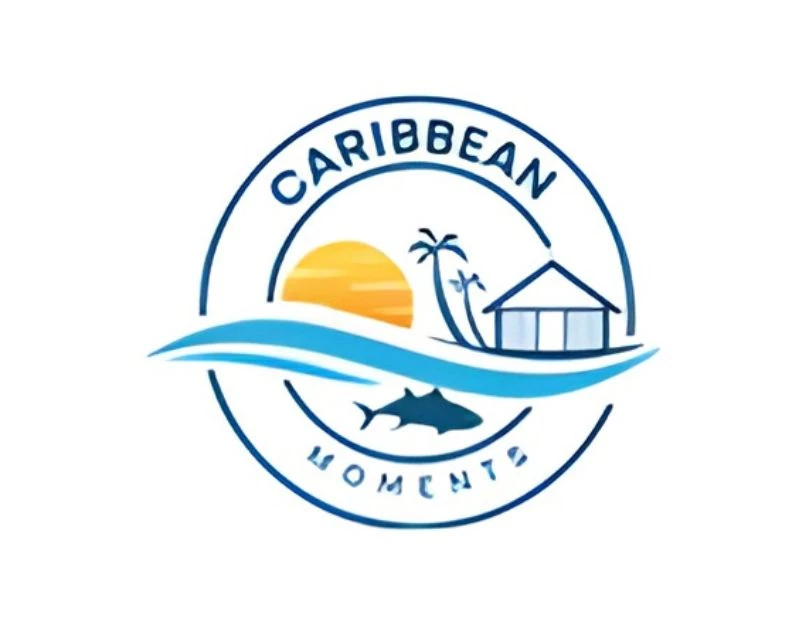 Best Time for Whale Watching in the Dominican Republic