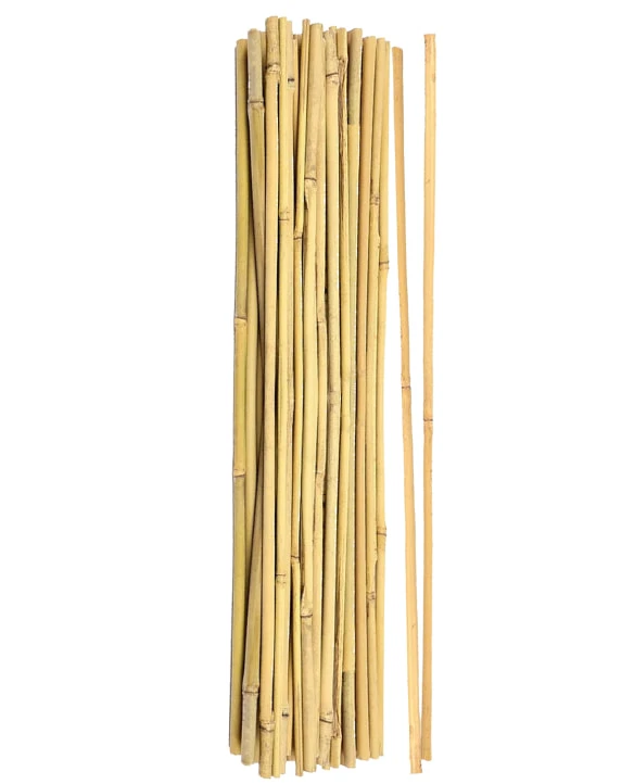 Innovations in Bamboo Stakes Manufacturing: What You Need to Knowy Post Title