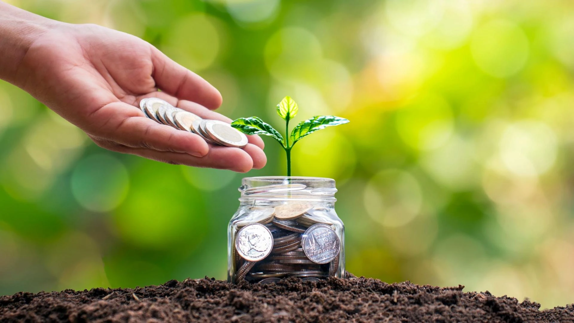 Thematic Funds Explained: A Smart Investment Strategy by Bandhan Mutual Fund