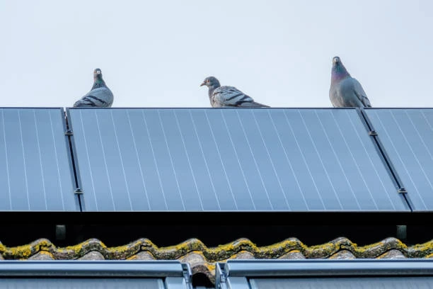 Why Solar Protection Is Now Essential for Every Australian Rooftop