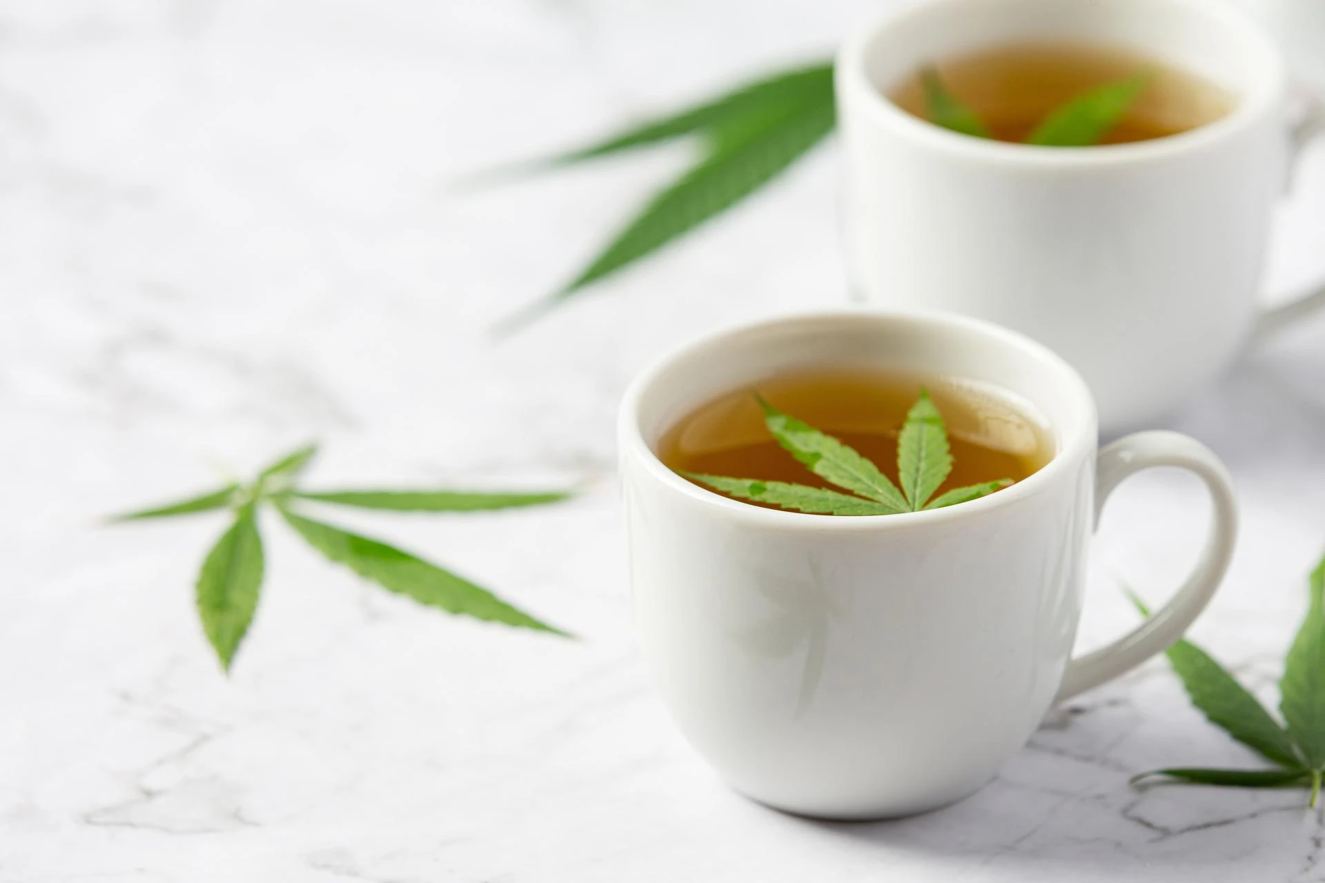 A Beginner’s Guide to Herbal Teas and Their Benefits