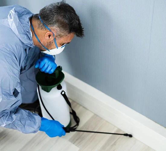 Keep Your Business Safe with Reliable Pest Control Services