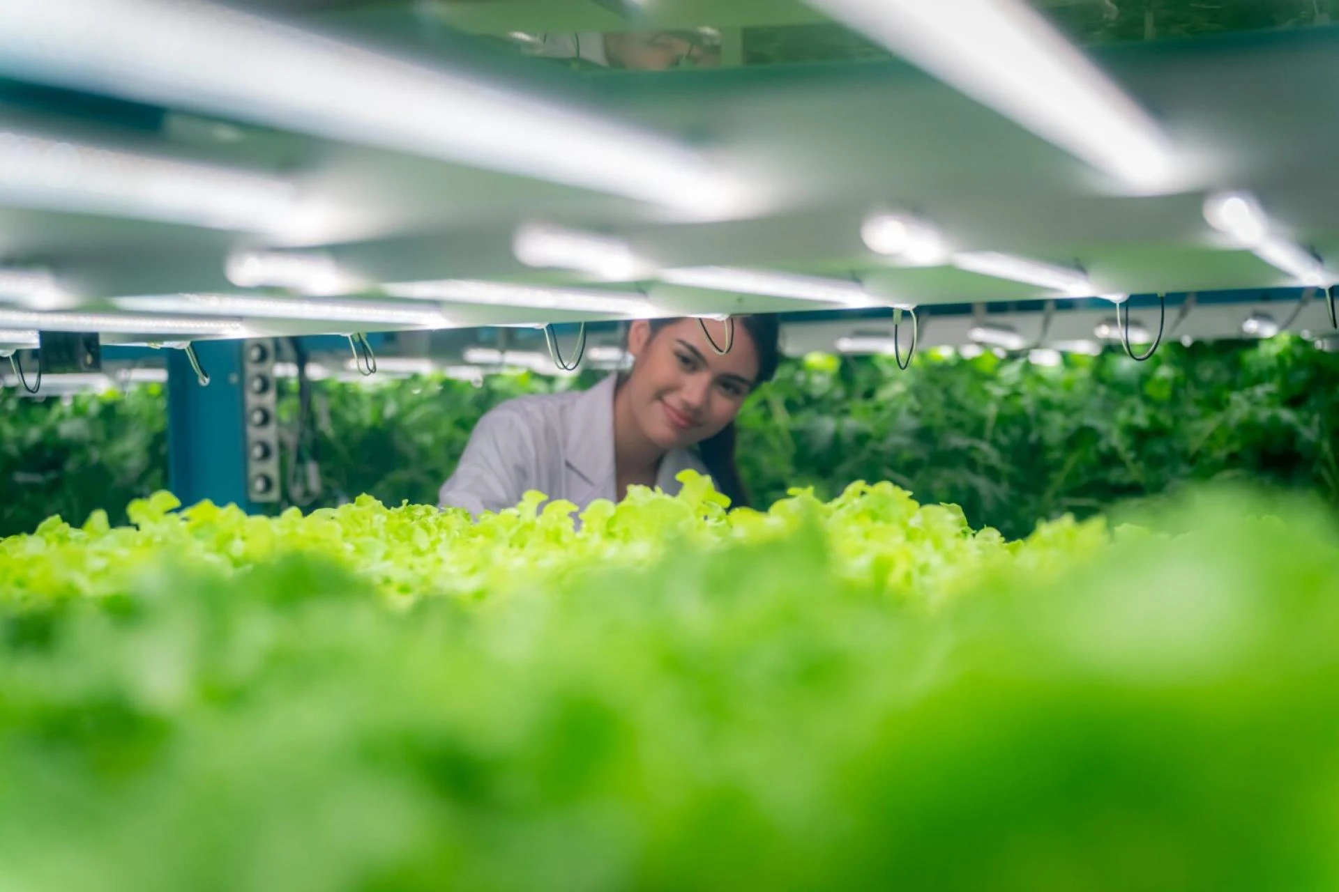 How to Choose the Right Wattage for Your LED Grow Lights