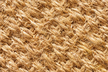 What Are the Latest Trends in Natural Coir Material Use and Application?