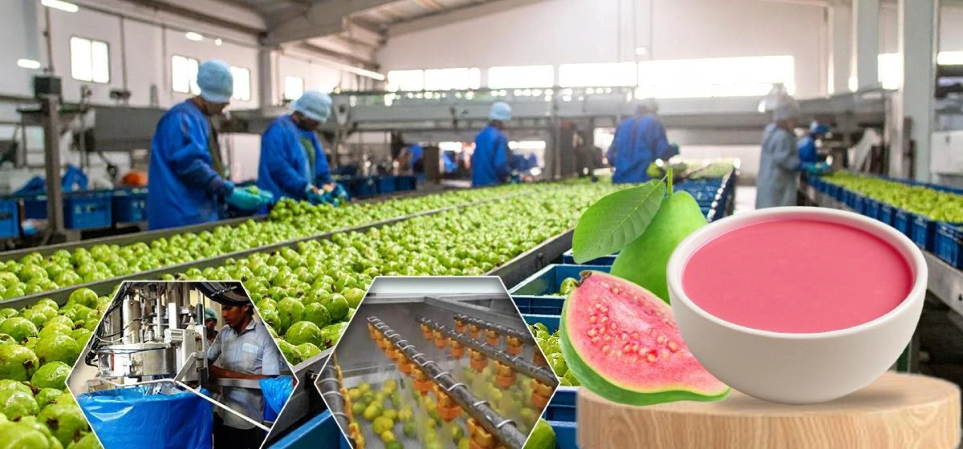 Role of Papaya Pulp in Modern Food Processing Industry