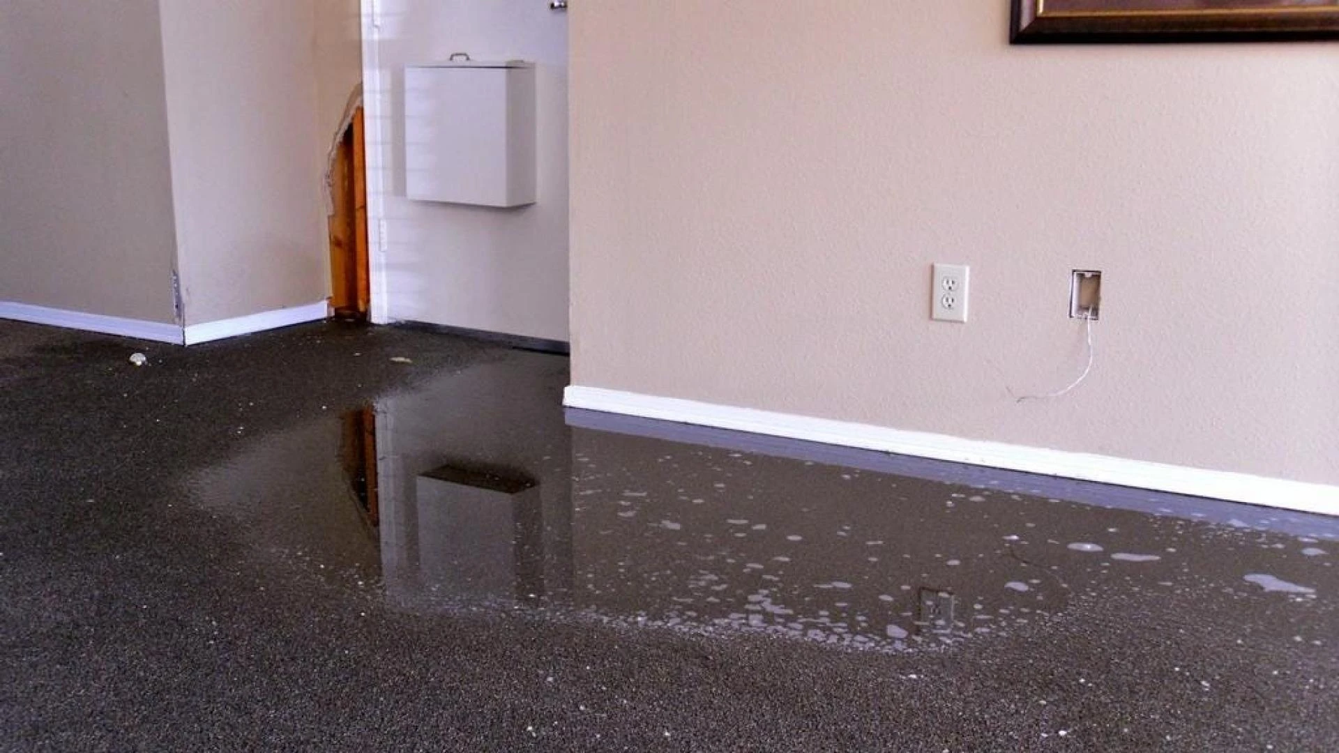 How to Know If Water Damage Has Compromised Your Structure