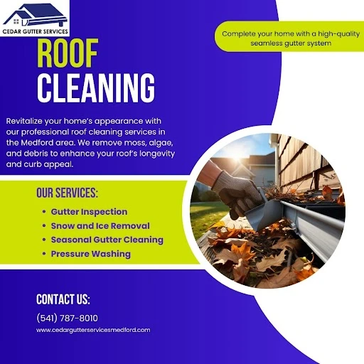 🧼 Roof Cleaning Done Right  What to Look for in a Professional Service