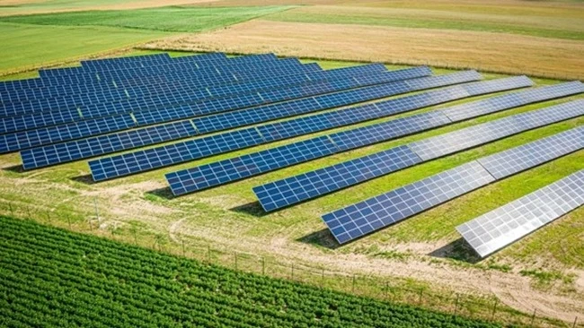 Establishing Solar Power Plants in India: Advice and Analysis