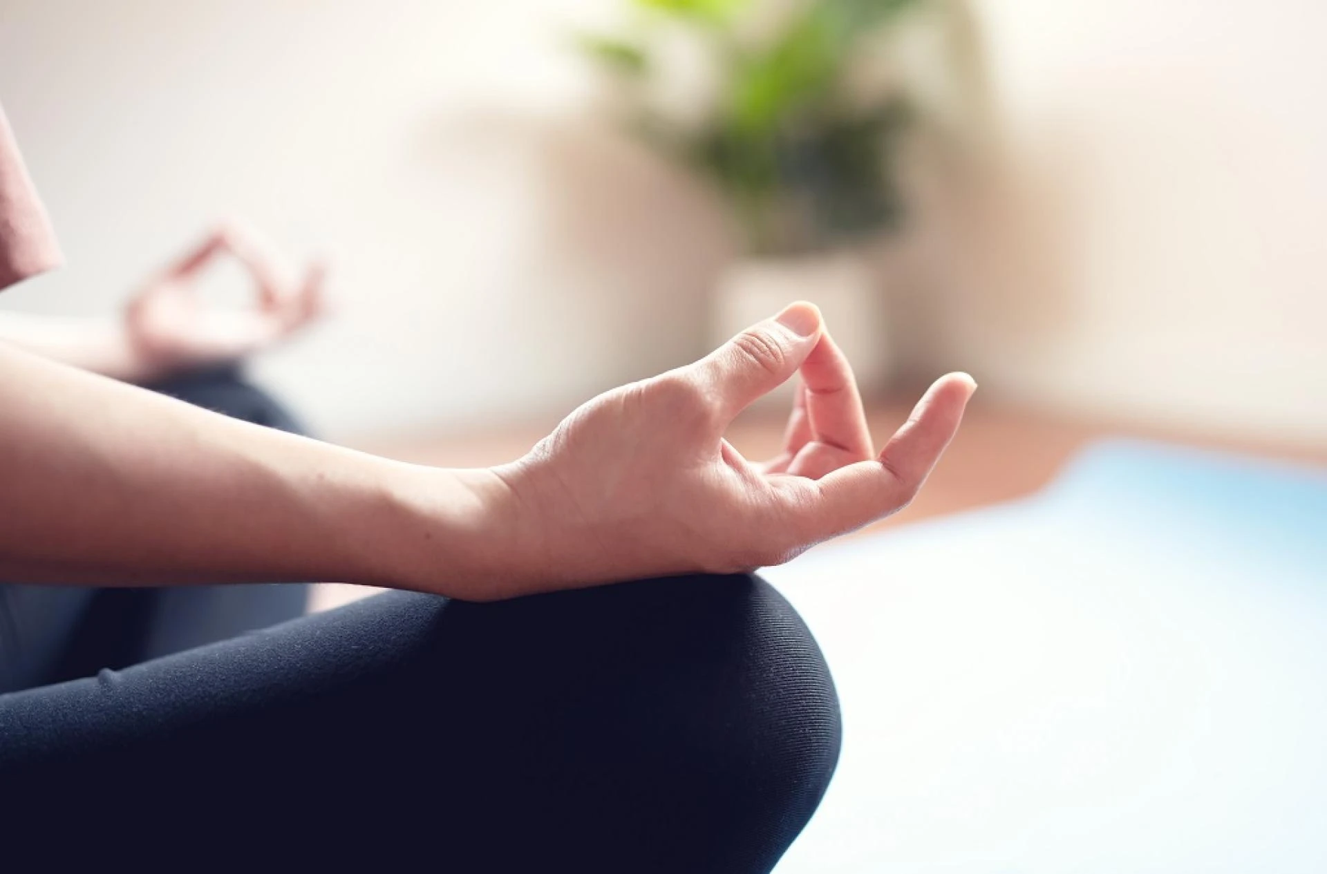 Silent Meditation Retreats in India: A Journey Within with Z Meditation