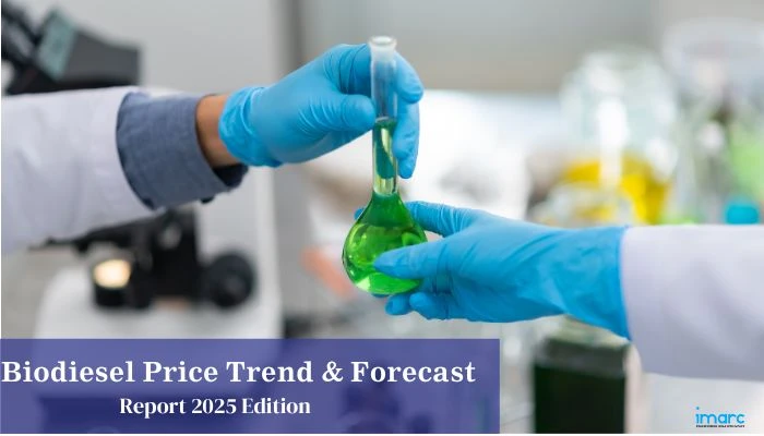 Biodiesel Prices, Trends, News & Forecast Chart