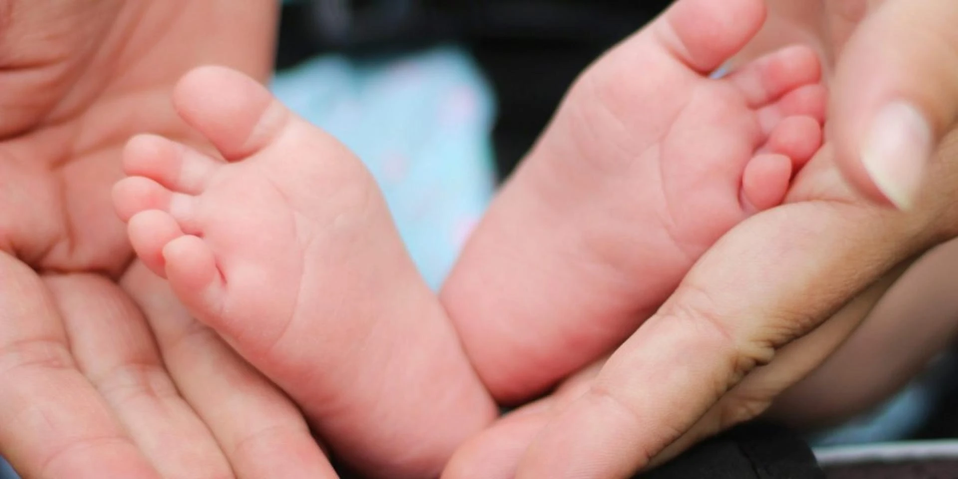 Unlocking Opportunities: Your Complete Guide to CHC30121 Certificate III in Early Childhood Education and Care