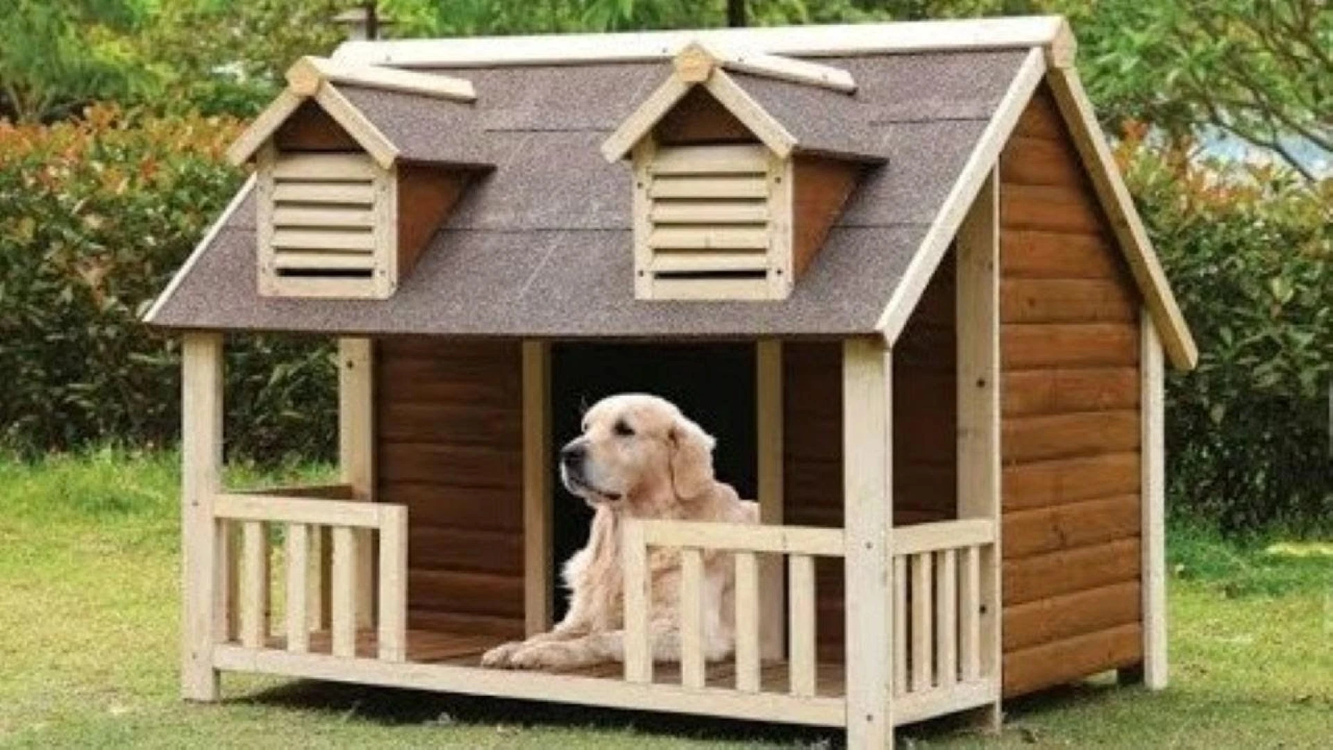 Trendy Dog Houses in Dubai Every Pup Wants to Live In