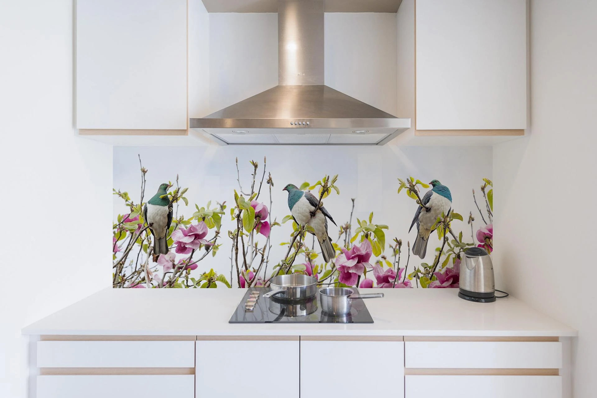 Kitchen Glass Splashbacks: Reflecting Style &amp; Brilliance