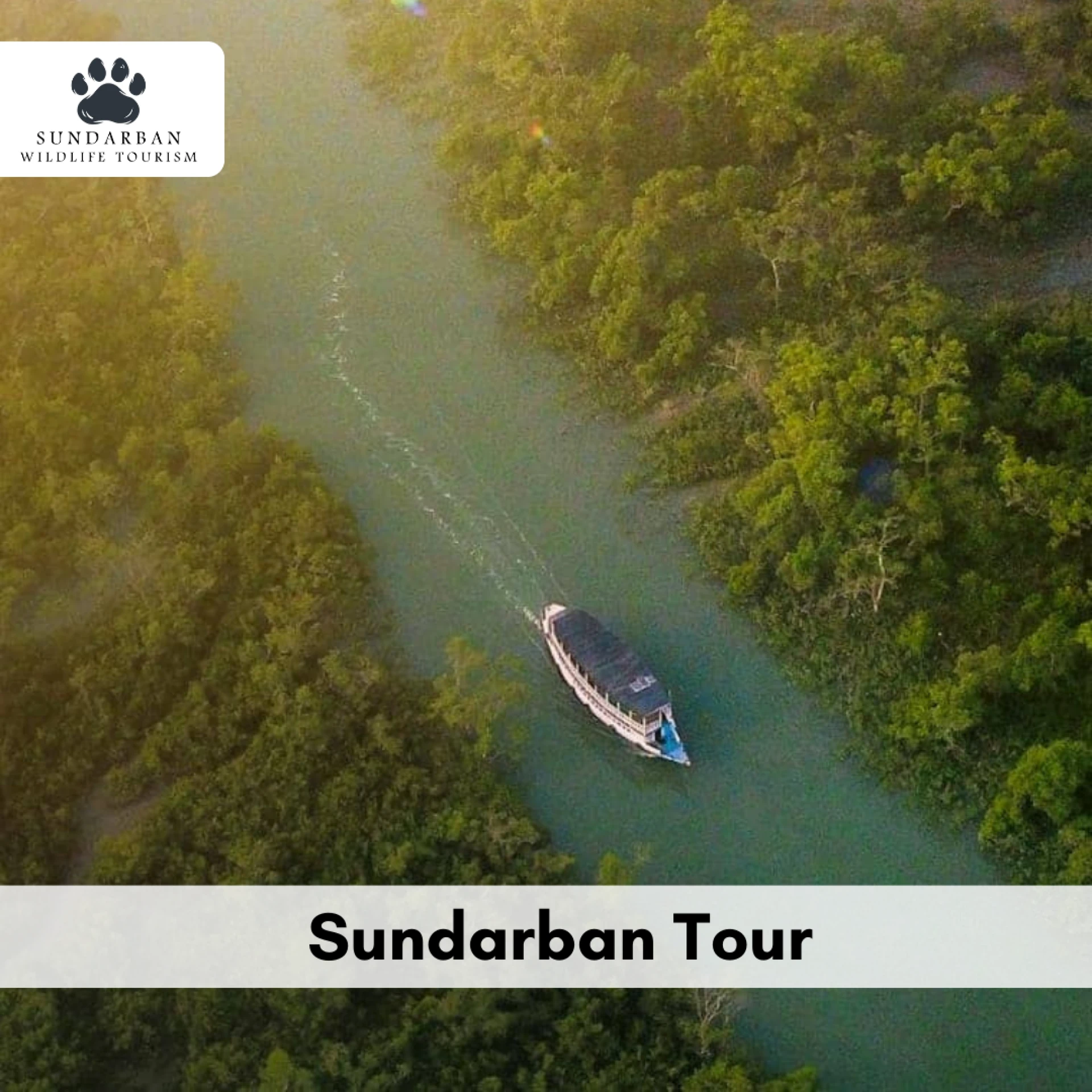 What wildlife can I expect to see on a Sundarban tour & cost 