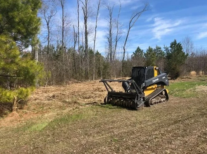 Top 5 Mistakes to Avoid When Hiring a Land Clearing Service