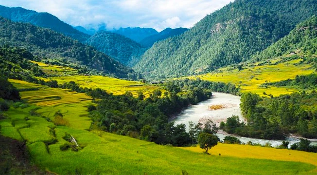 Bhutan Package Tour from Guwahati Summer Offer 2025