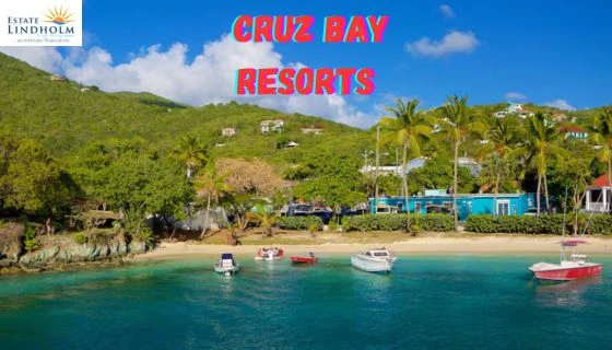 Why Your Cruz Bay Hotel Puts You at the Center of Paradise