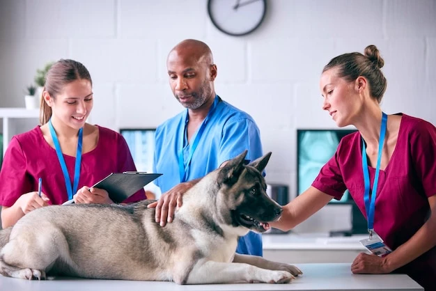 Compassionate Pet Care at Its Best: Discover West Glen Veterinary Hospital