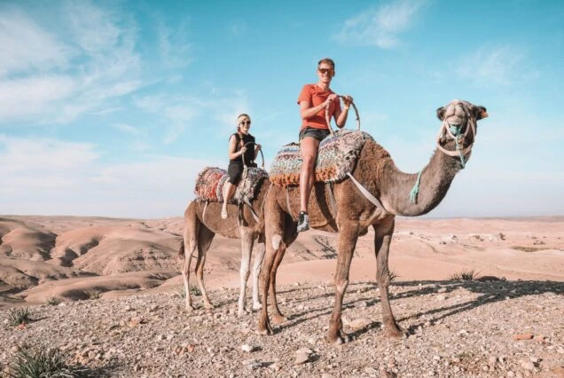Desert Majesty of Morocco: An Unforgettable Experience