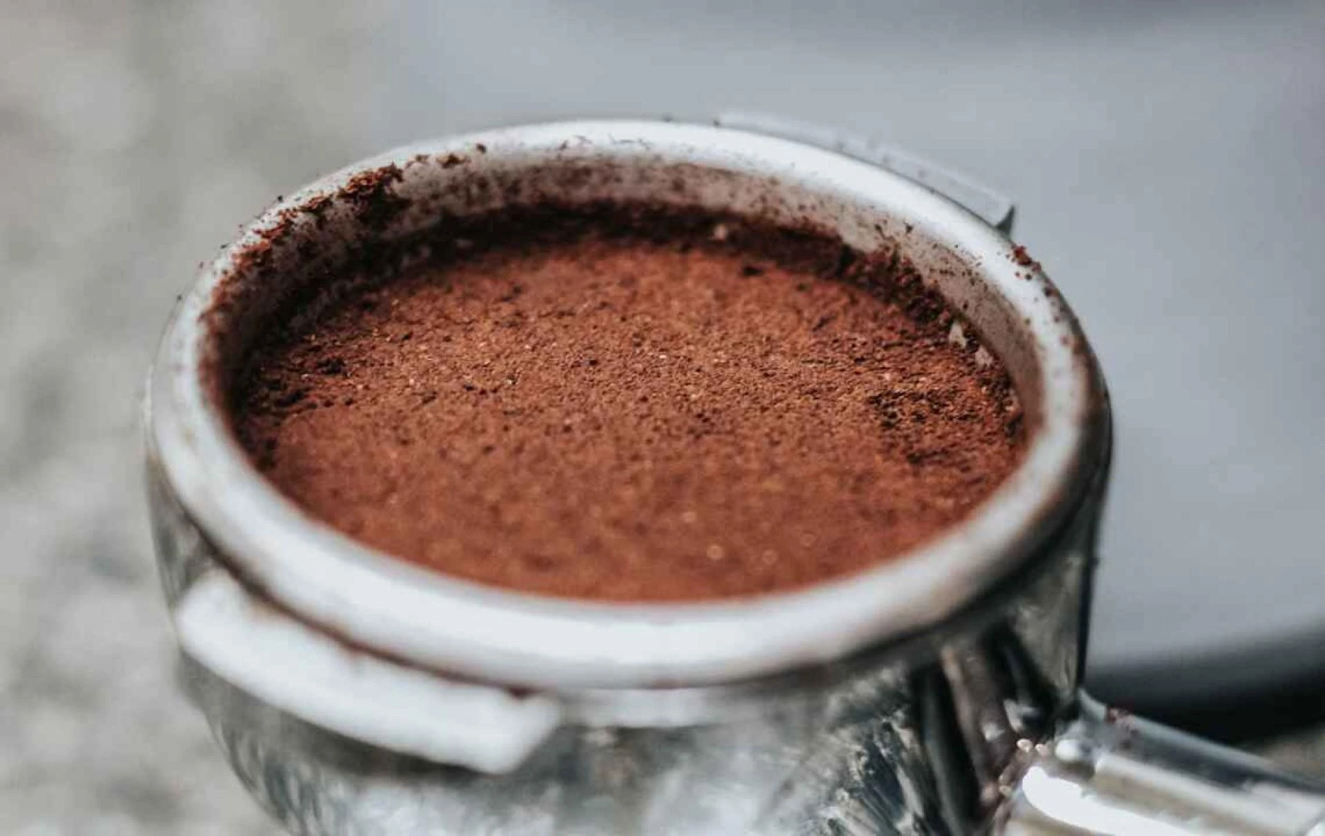 Impact of Coffee Grounds on Septic Systems