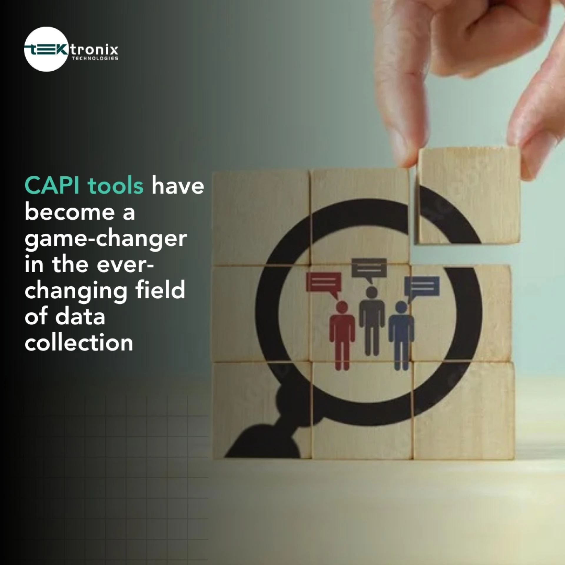 Maximizing Insights: CAPI Tool Surveys in the UAE