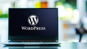 WordPress SEO Service in Chicago: A Simple Guide to Growing Your Business Online