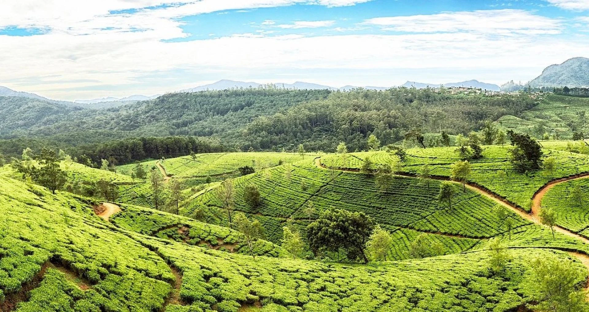 Top 10 Must-Visit Temples in Sri Lanka for Spiritual Seekers