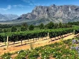 Top 5 Reasons to Choose South Africa for Your Next MICE Event – Partner with a Trusted DMC for Unmatched Experiences