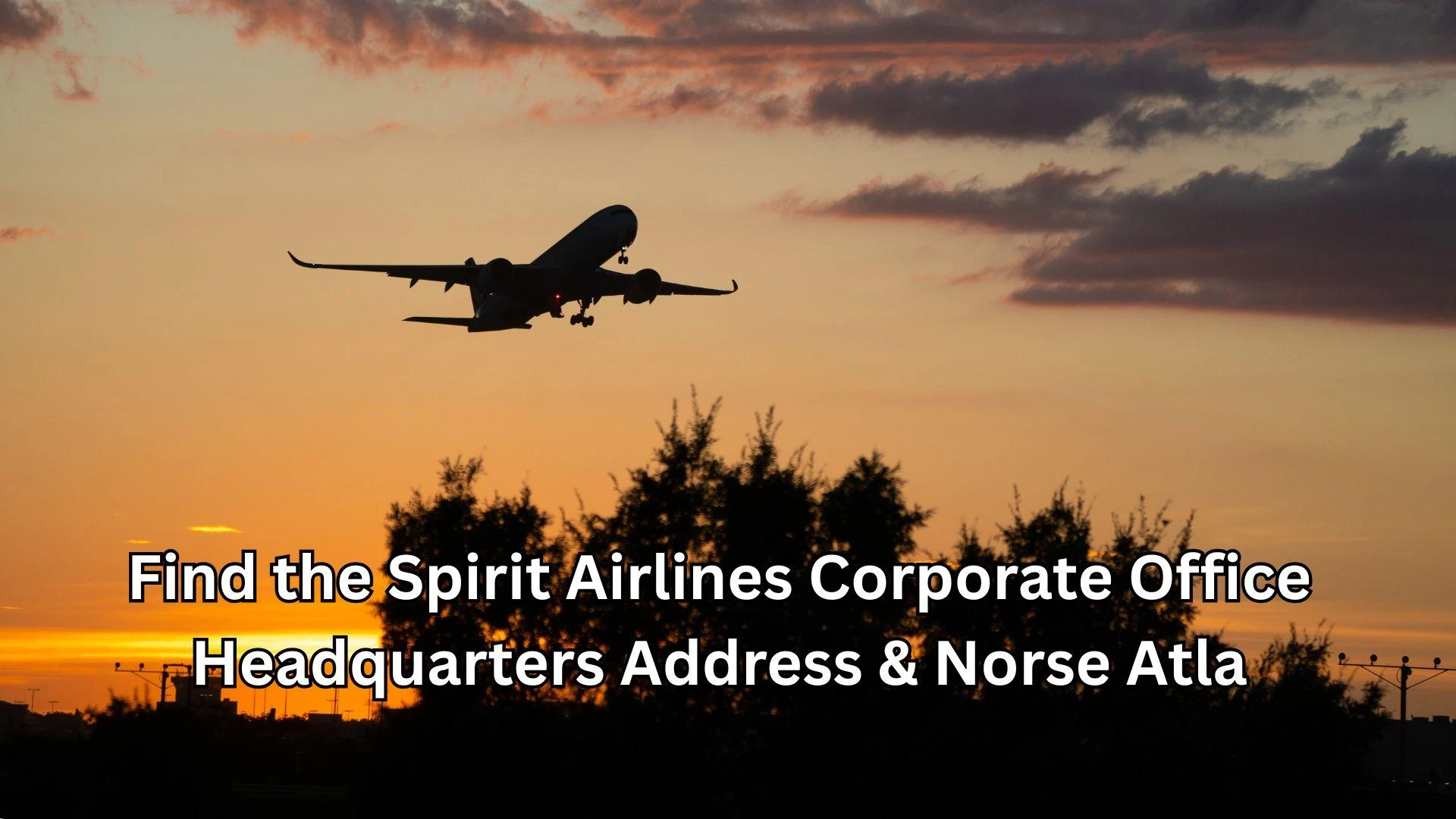Find the Spirit Airlines Corporate Office Headquarters Address & Norse Atlantic LAX Terminal Info  write an article using keywords  Spirit Airlines He