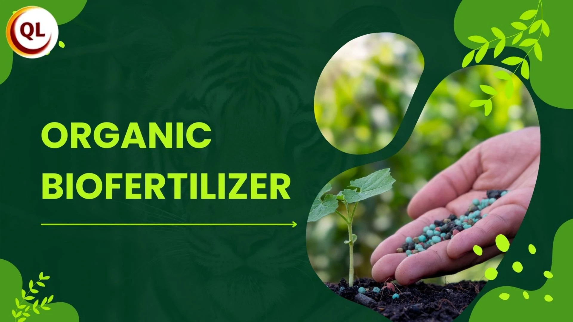Organic Biofertilizer: A Natural Solution for Healthier Plants