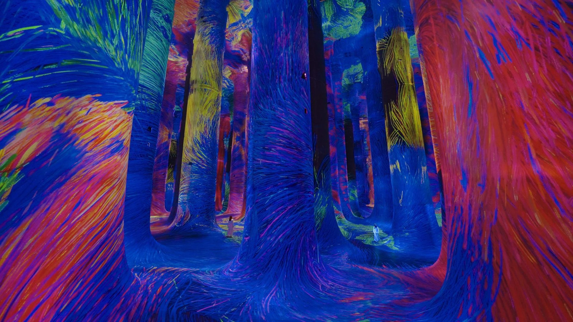 Discovering the Future of Creativity at teamLab Phenomena Abu Dhabi