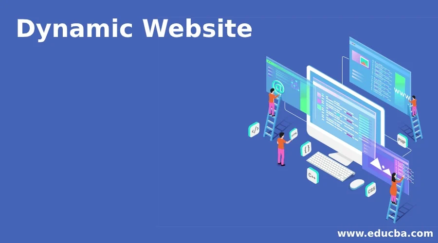 Empowering Businesses with Dynamic Website Maintenance and Delhi-Based Software Development