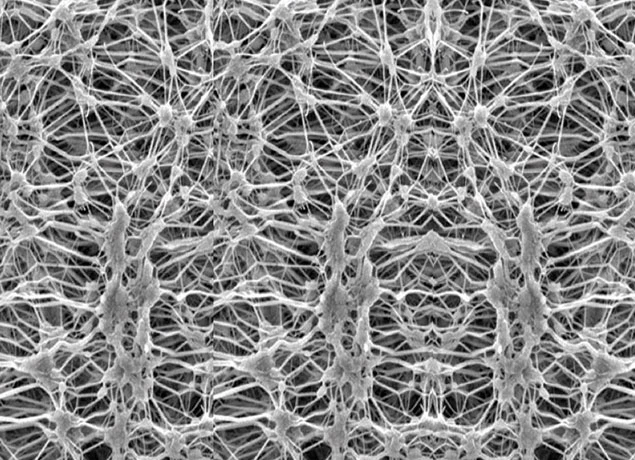 Selection and Structure Design of PTFE Laminated Fabric