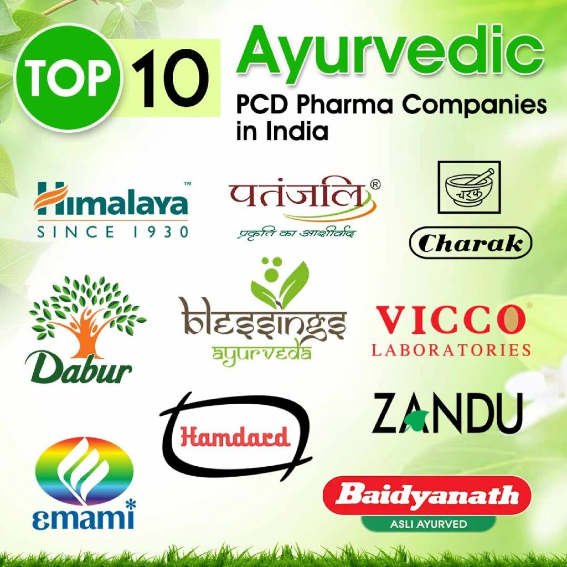 Top 10 Ayurvedic PCD Pharma Companies in India