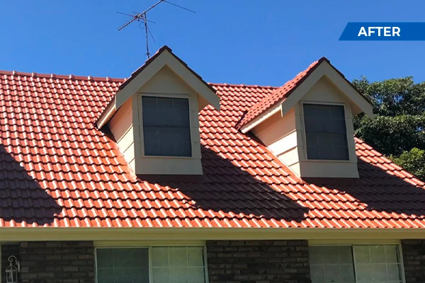 How to Choose the Right Professional When Your Roof Shows Signs of Aging or Damage