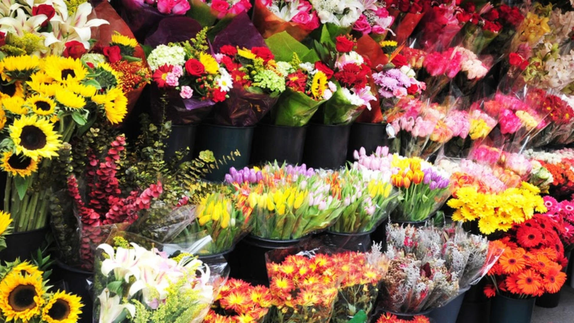 Flower Shop Dubai - Blooming Beauty in the Heart of the City