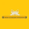 Best Home Puppies – Trusted Puppies Home with Safe Nationwide Shipping