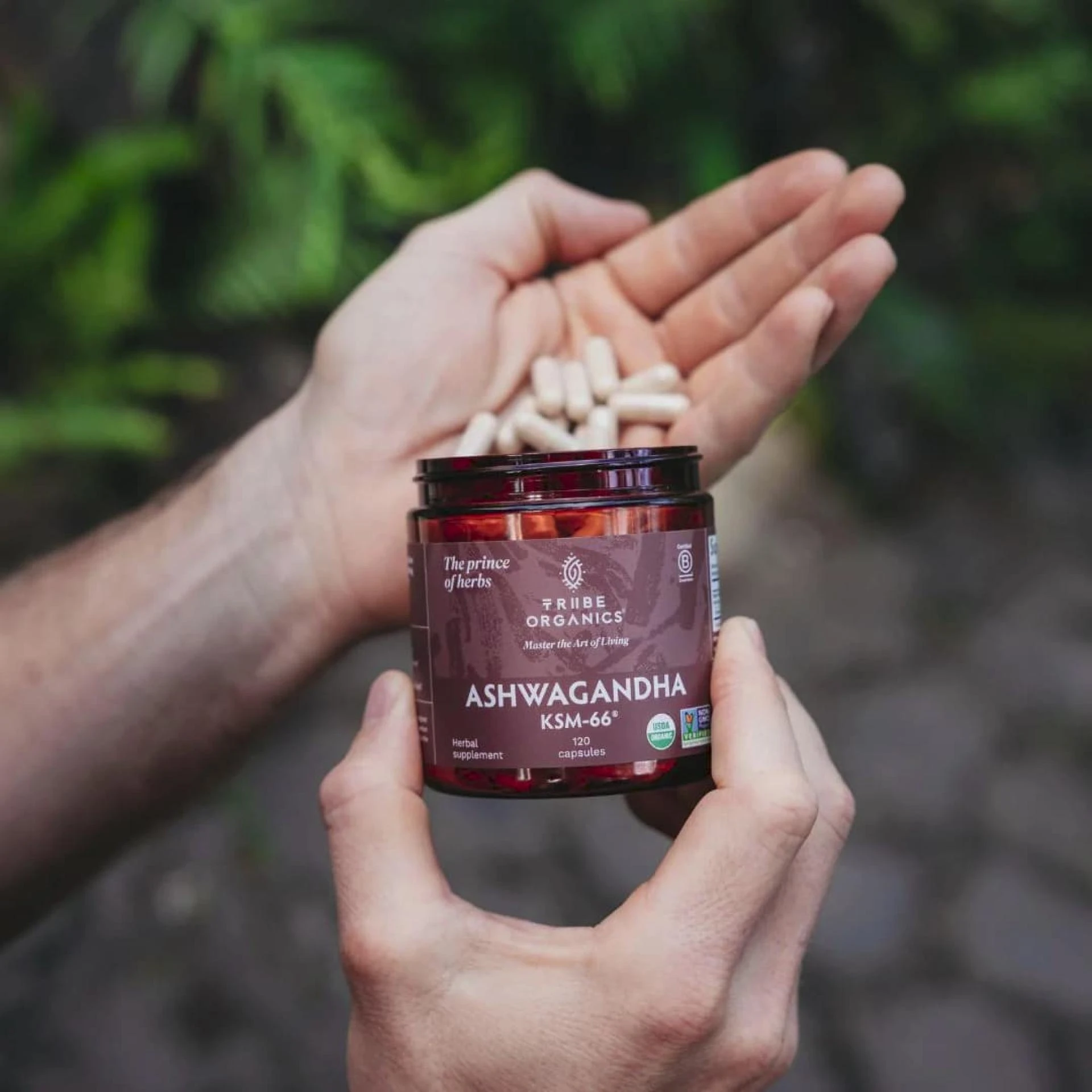 Buying Ashwagandha Capsules? Here’s What You Need to Know