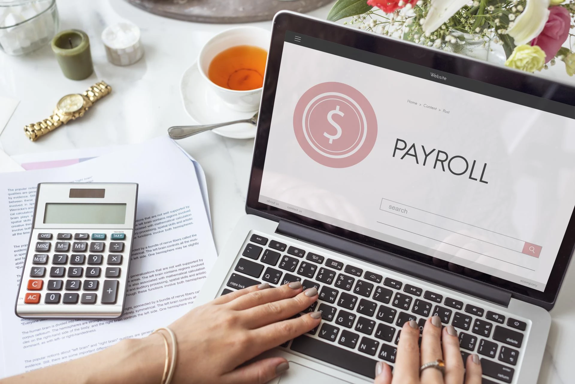 Salary Management Software: A Complete Guide