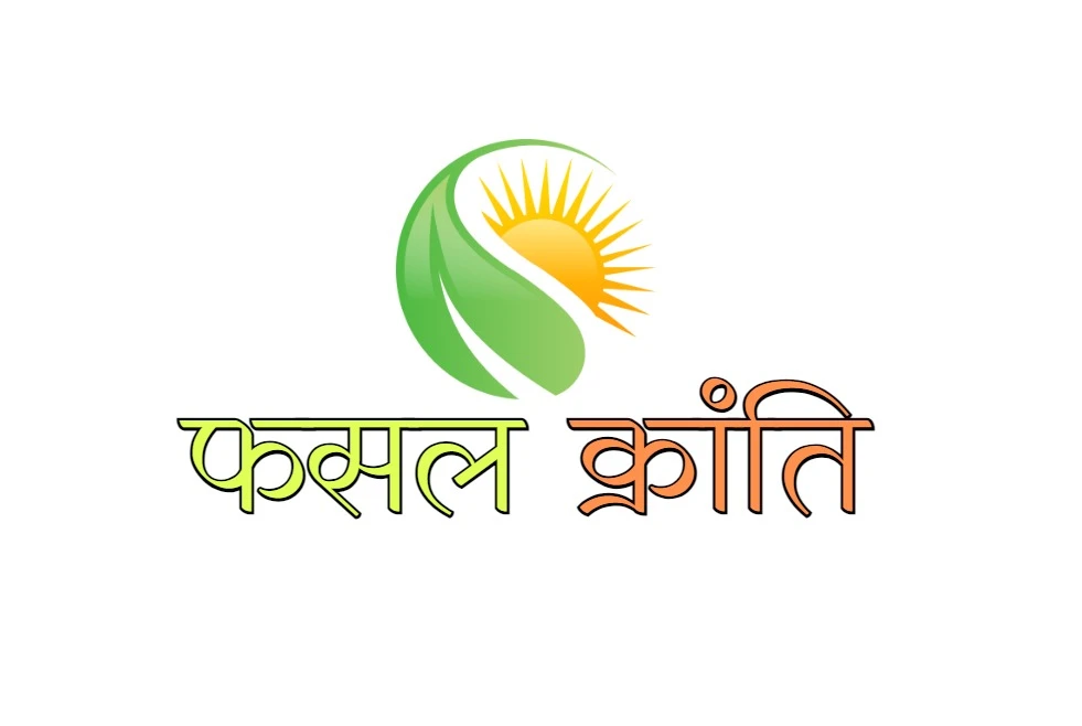 Greenhouse Farming: Growing More in Controlled Spaces