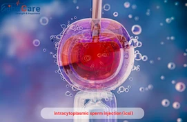 Understanding ICSI in India: A Breakthrough in Assisted Reproductive Technology