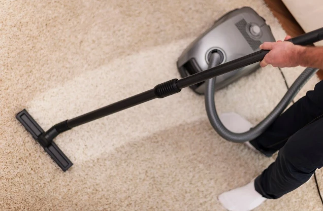 Is it Better to Clean Rug Yourself or Professionally?