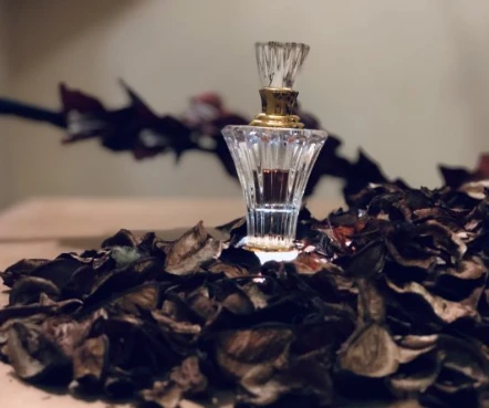 What Is Oud Hindi? Everything You Need to Know