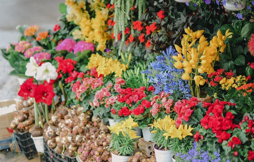 Top 5 Occasions That Call for Flower Delivery in Prahran